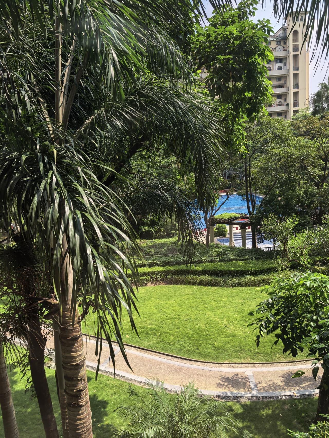 分享一张今日随手拍此时此刻，小区室外温度在35℃以上，很静。没有人敢从空调房子出