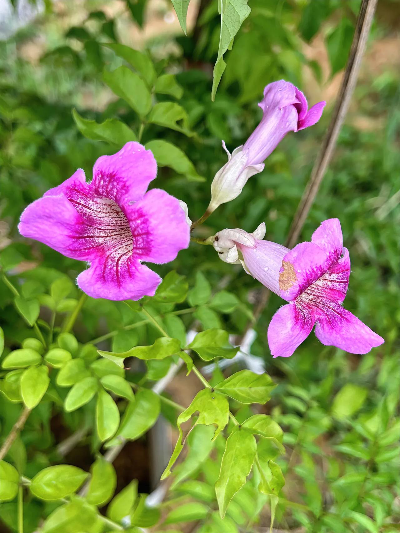 今天监考，福州高三首次市质检，两周复习，匆匆上场#秋日生活打卡季#