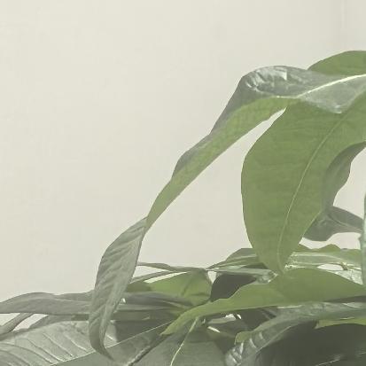 《荒野求生决赛》中的张老六，他进入决赛这几天以来，一直没有生火成功，一直都是用竹