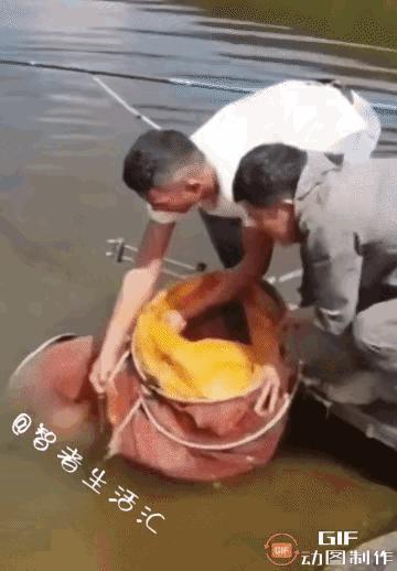 刚钓上来：我们一辈子好兄弟。
鱼跑了：下次不要来找我了。