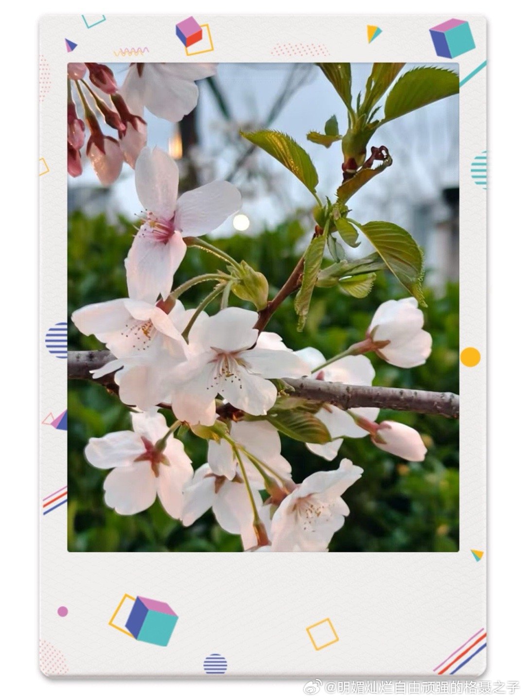 每一次相见都很珍贵 