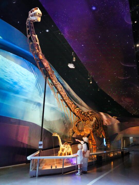 我在武汉，找到了室内🉑避暑🉑遛娃胜地…