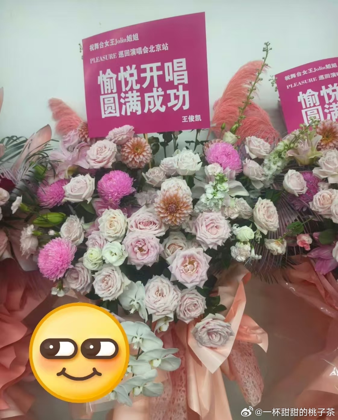 王俊凯给蔡依林送花篮了好棒 