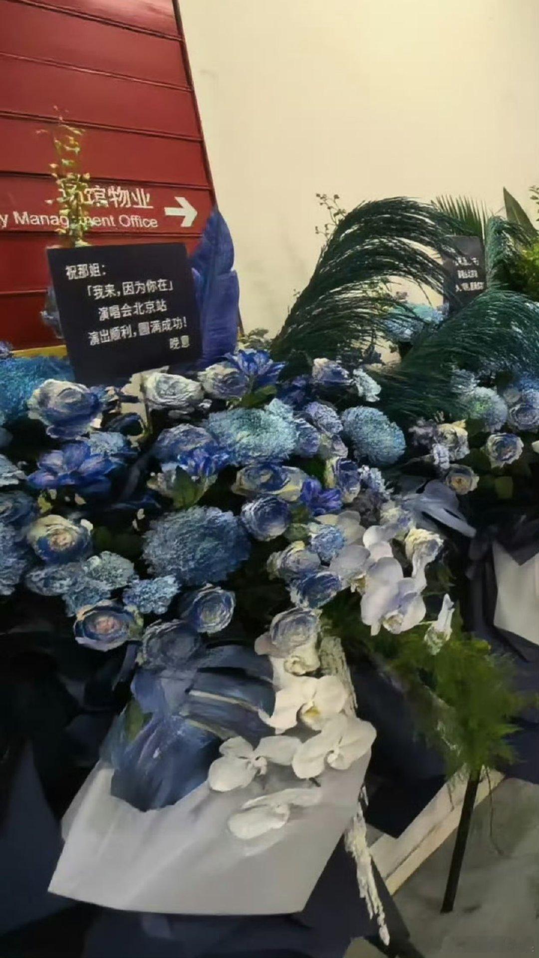 张晚意给那英演唱会送的花张晚意给那英演唱会送的花，很会选嘛！张晚意给那英演唱会送