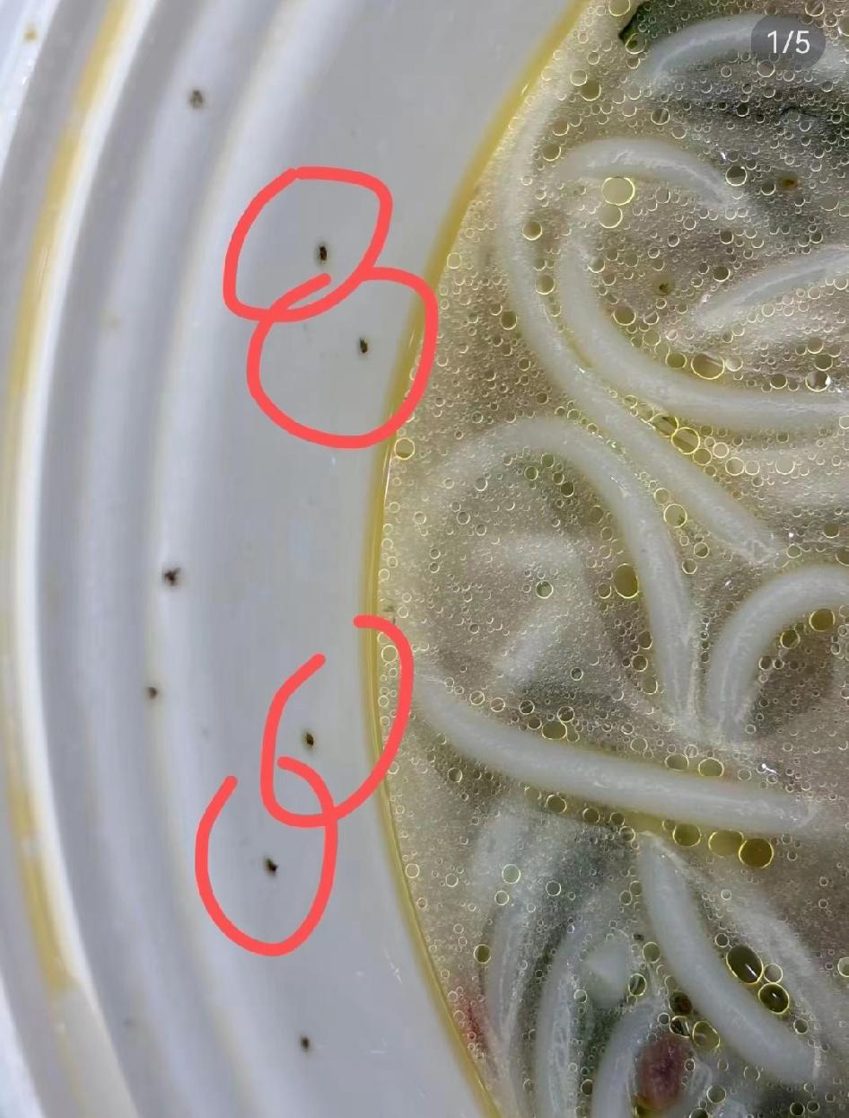 近日，有网友发文称，点外卖吃到了一整碗的虫子。
根据我多年的吃菜经验，这个虫子很