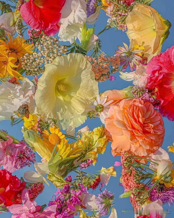 镜中花
📸 Joseph Horner 