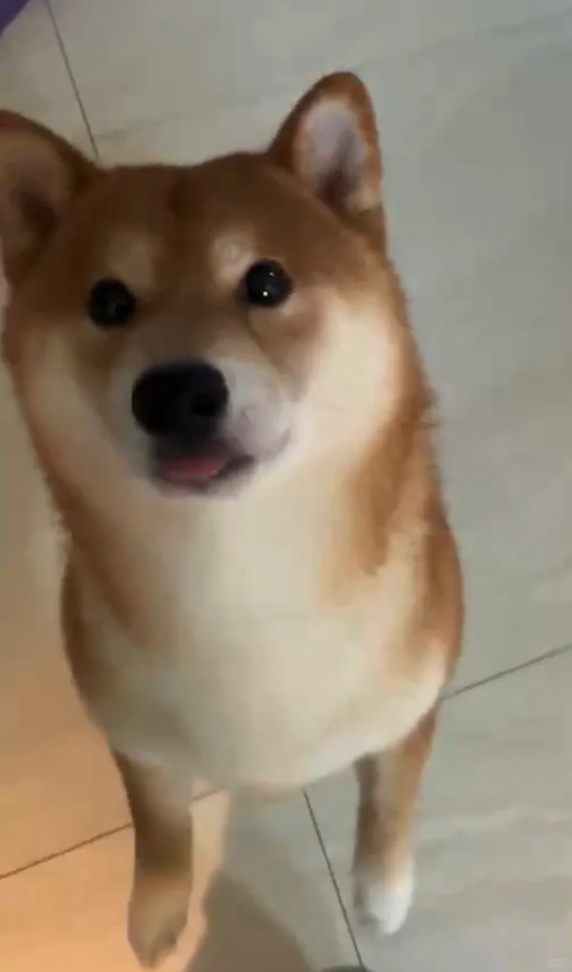 👅