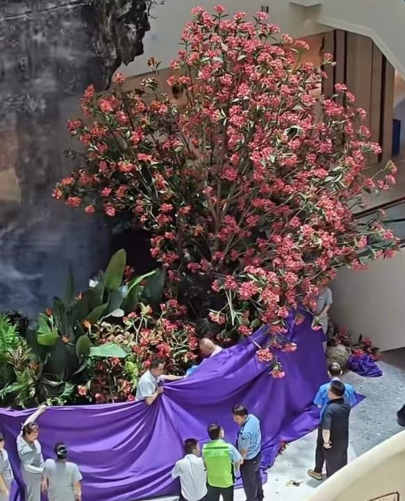 太唏嘘了！西安做服装的严总，千万身家打拼几十年，六十多岁竟选择跳楼。在外是能扛事