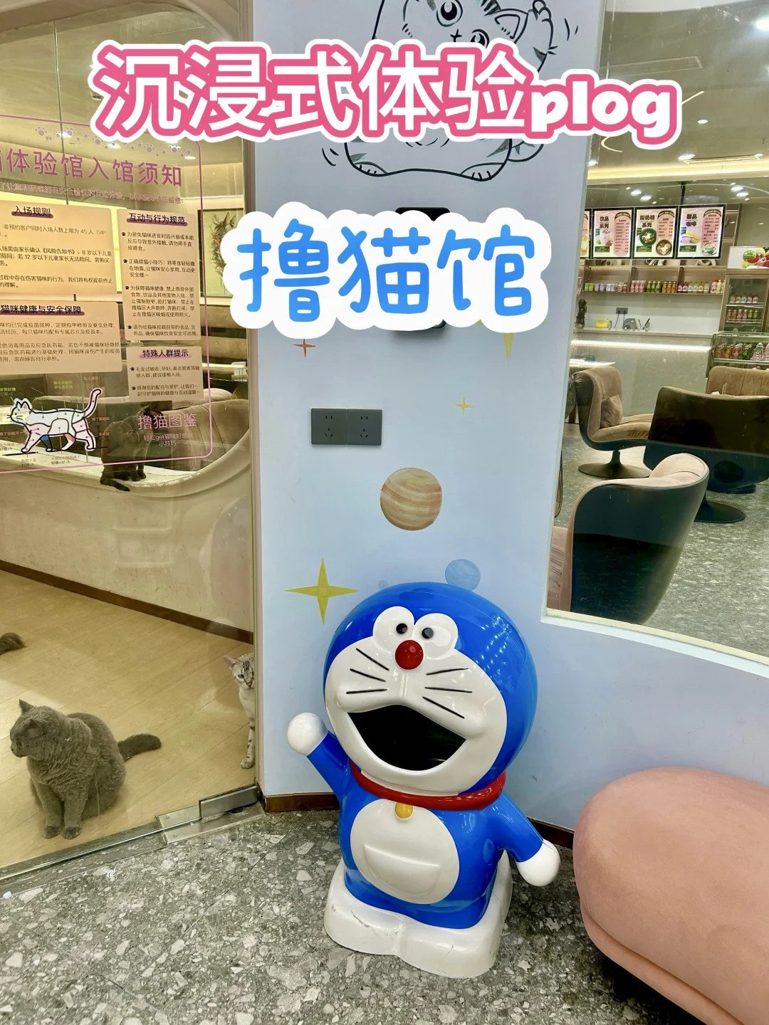 好幸福～ta家的猫猫🐈都住大house！