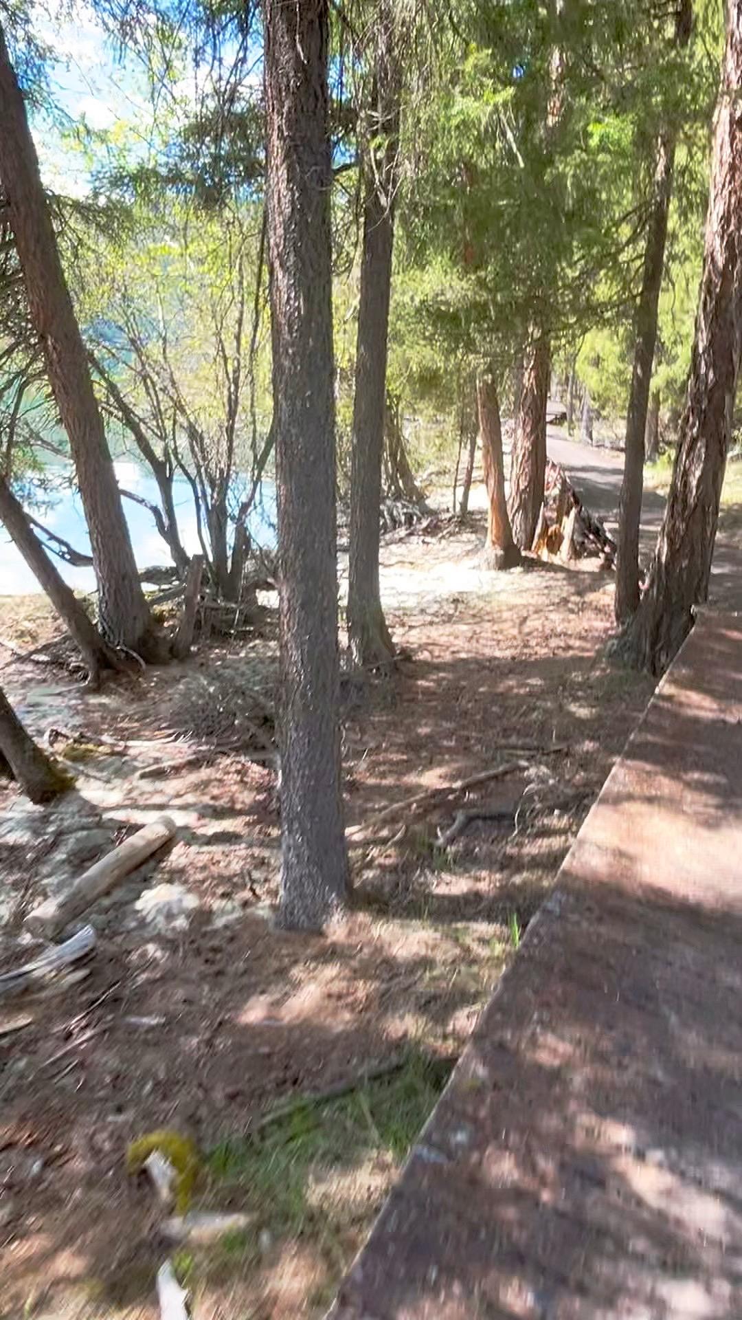 想当一个家族的破局者 农村出来，不要做一个听话的儿女 不要在意他们看重...