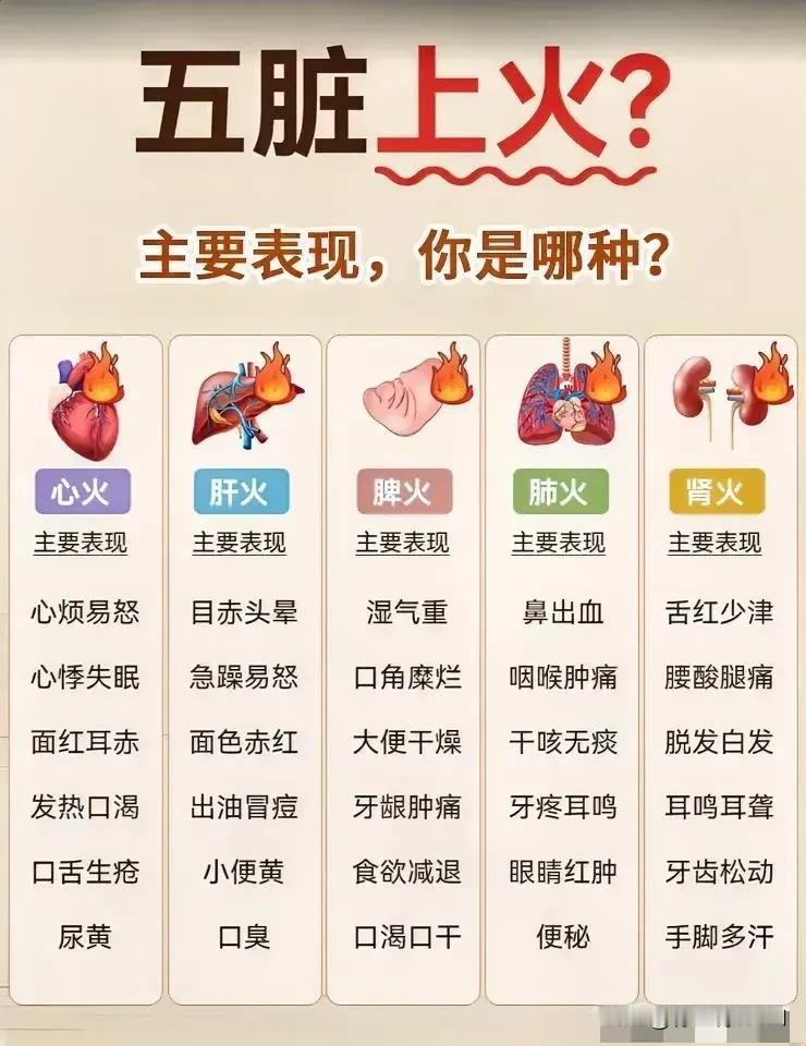 五脏上火？主要表现，你是哪种？

在繁忙的现代生活中，我们常常感到身体不适，但却