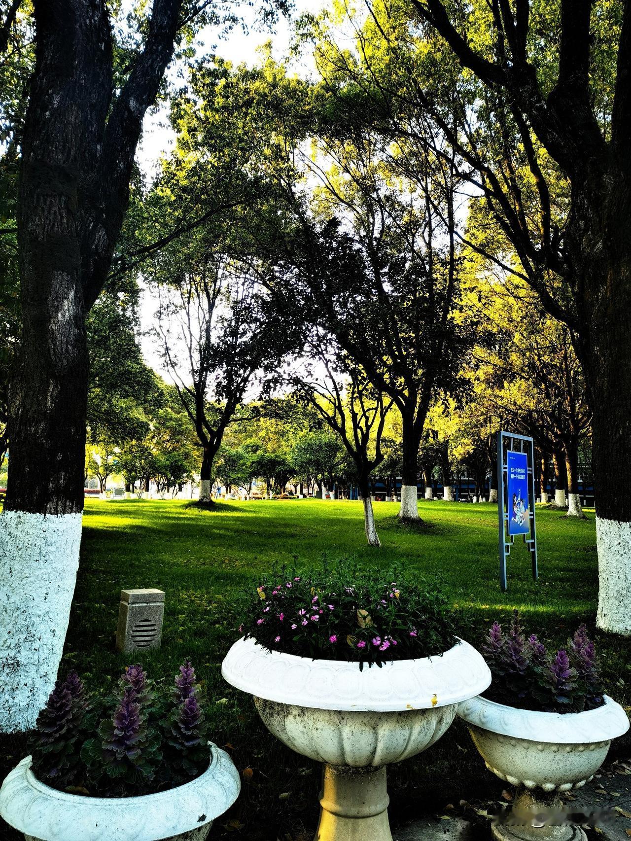 傍晚的光，是这个世界最温柔的滤镜。

河边散步，看见夕阳一点点西沉下去，光却不急