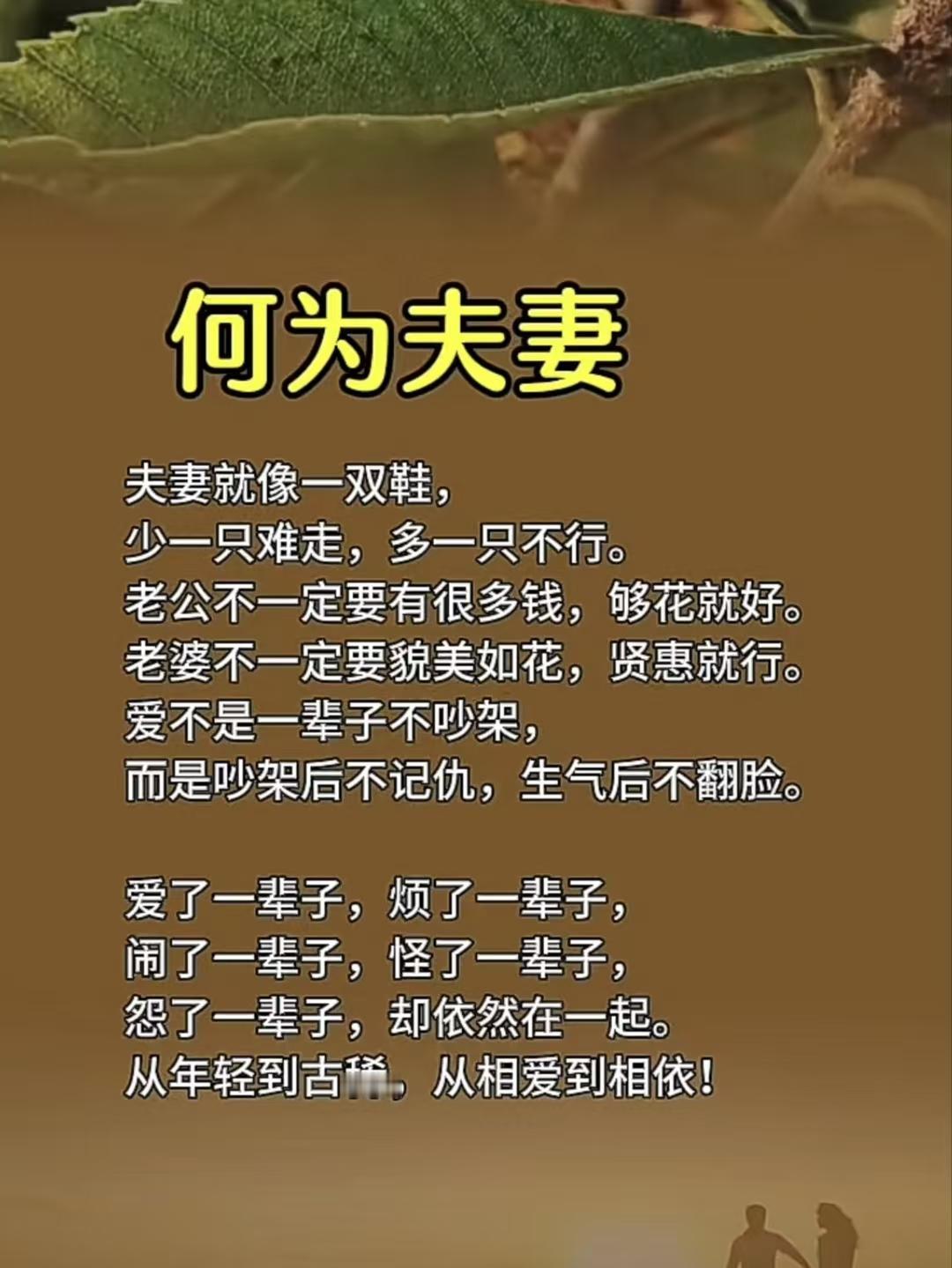 殿前欢·何为夫妻
一双鞋，
同途共履伴生涯。
钱堪糊口心无挂，
貌不须夸，
贤淑