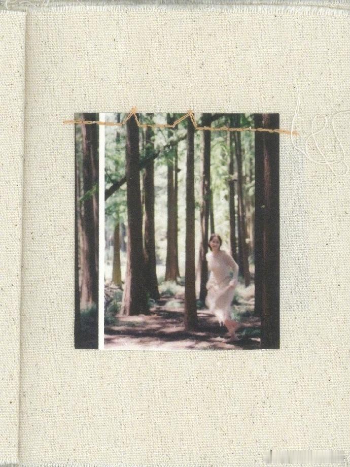 欧阳娜娜把记忆装订成册感受到了独特的一份美好！《暮色森林》太有氛围感了吧，和森林