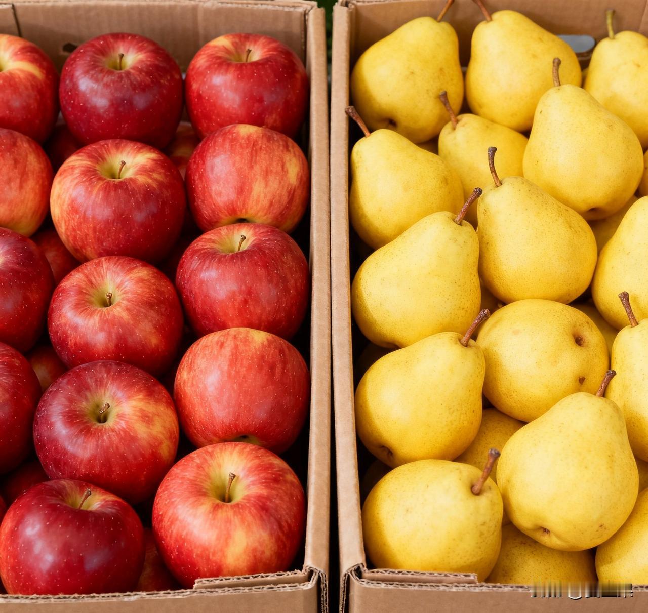 真是笑死了，
一箱苹果一箱梨！
现在相亲市场都很讲实际，越来越单刀直入，不再玩先