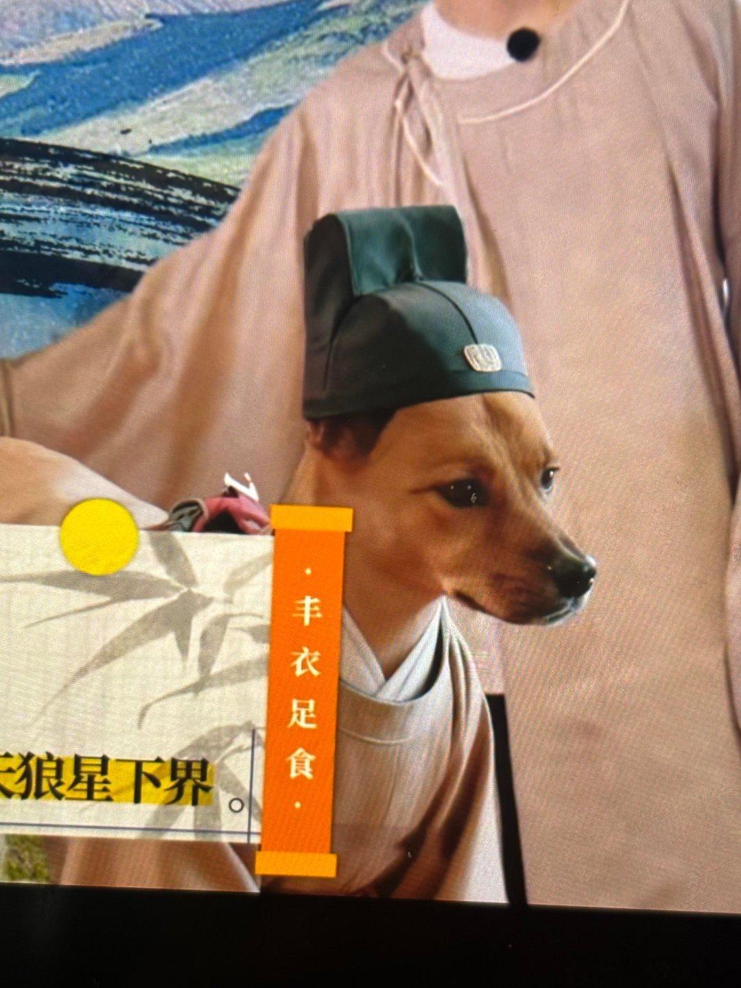 你好种地少年[超话]好威风的太子包哈哈哈哈哈 你好种地少年‖ ​​​