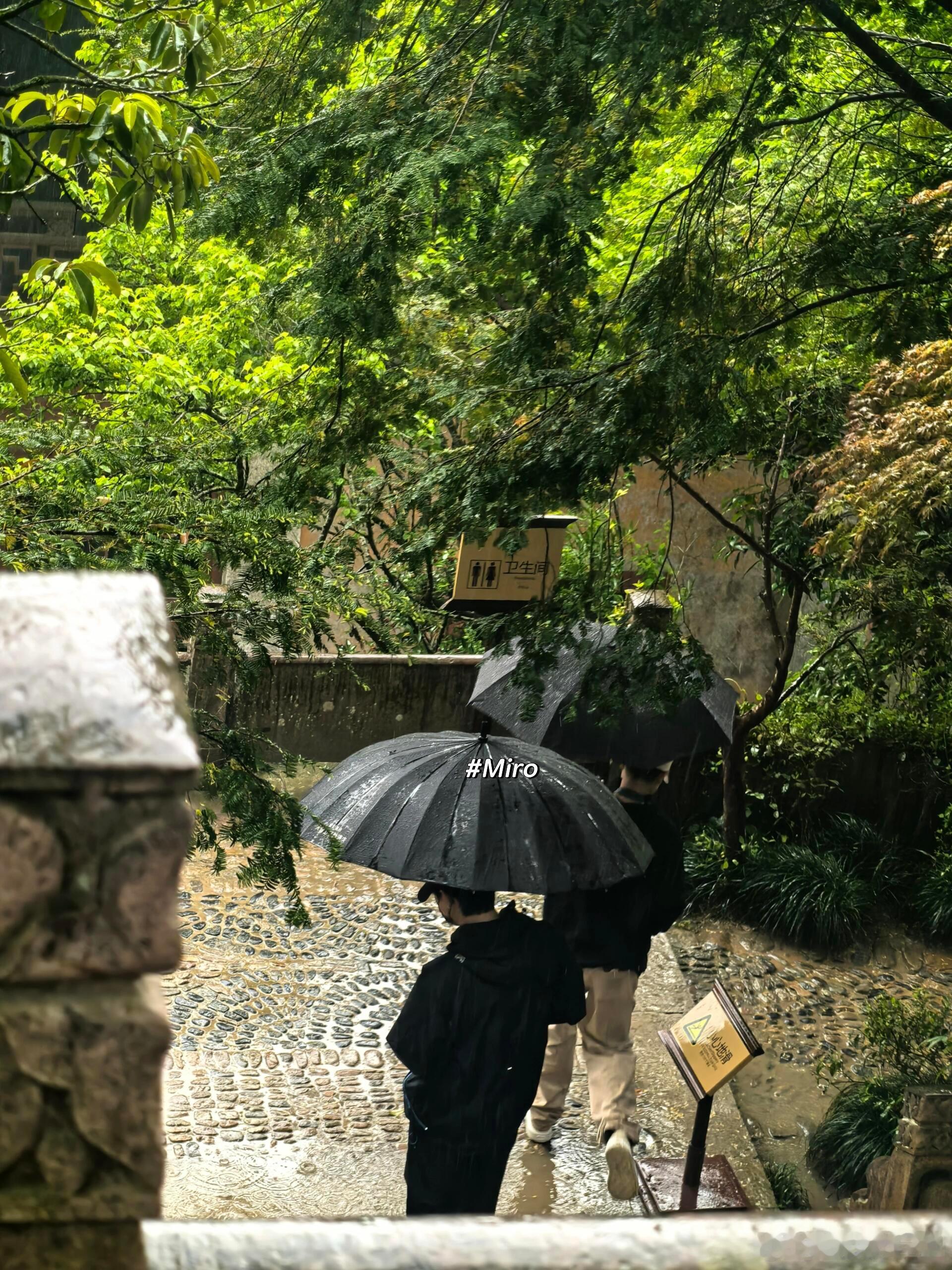 李现真的是热爱摄影！李现两天打卡了四个寺庙李现摄影特种兵