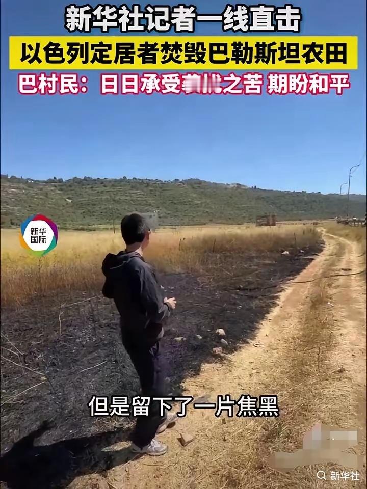 以色列这招太狠了，纵火烧毁巴勒斯坦农田，大量即将成熟的小麦被以色列放火烧成灰，简