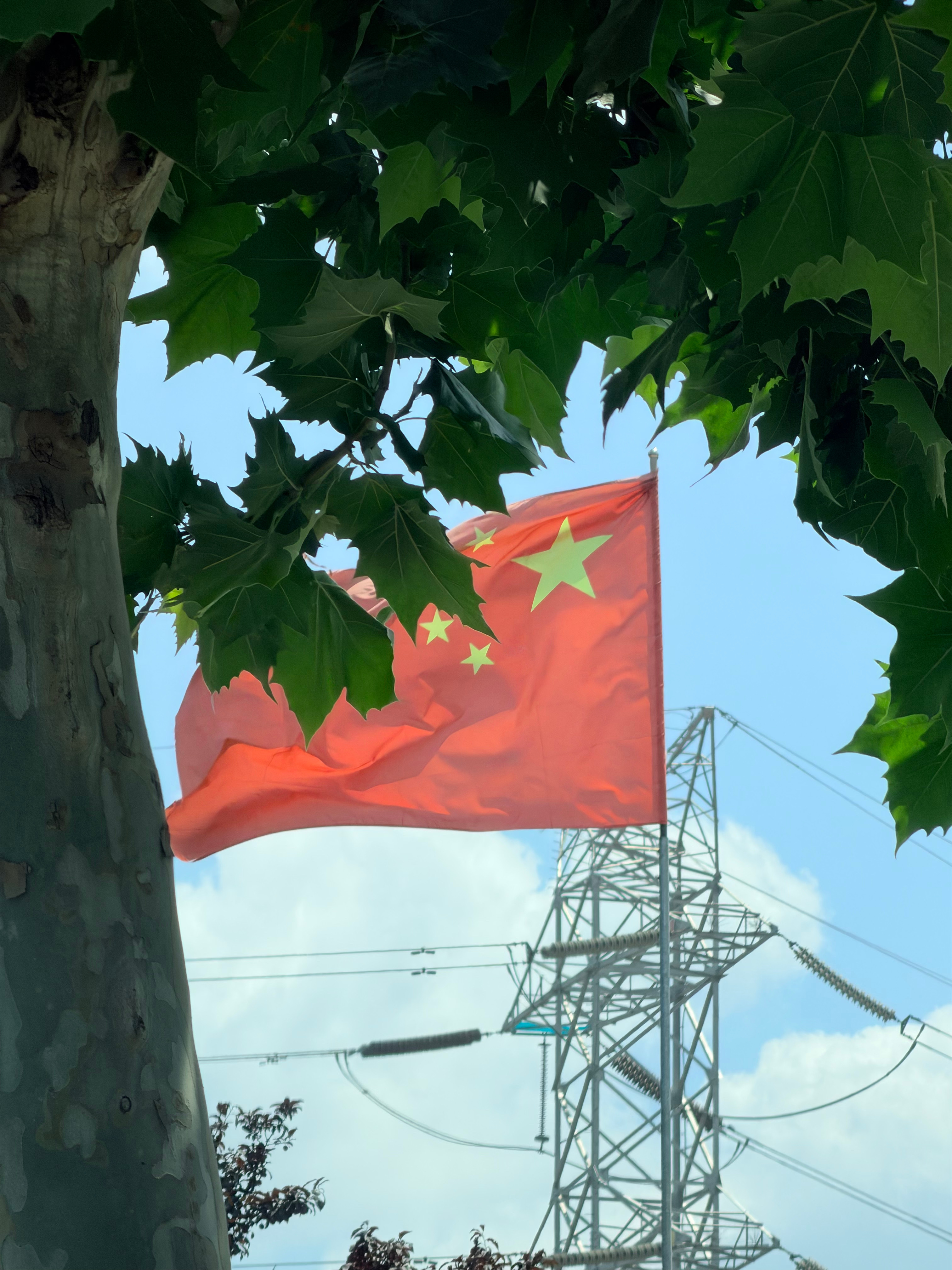 今儿这大晴天不出去浪一下感觉都对不起这天气 青岛