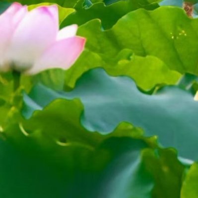 每日一善 yy阳光信用 指路不吞必回  勿带🔗做一个正能量的人，对生活乐观有自