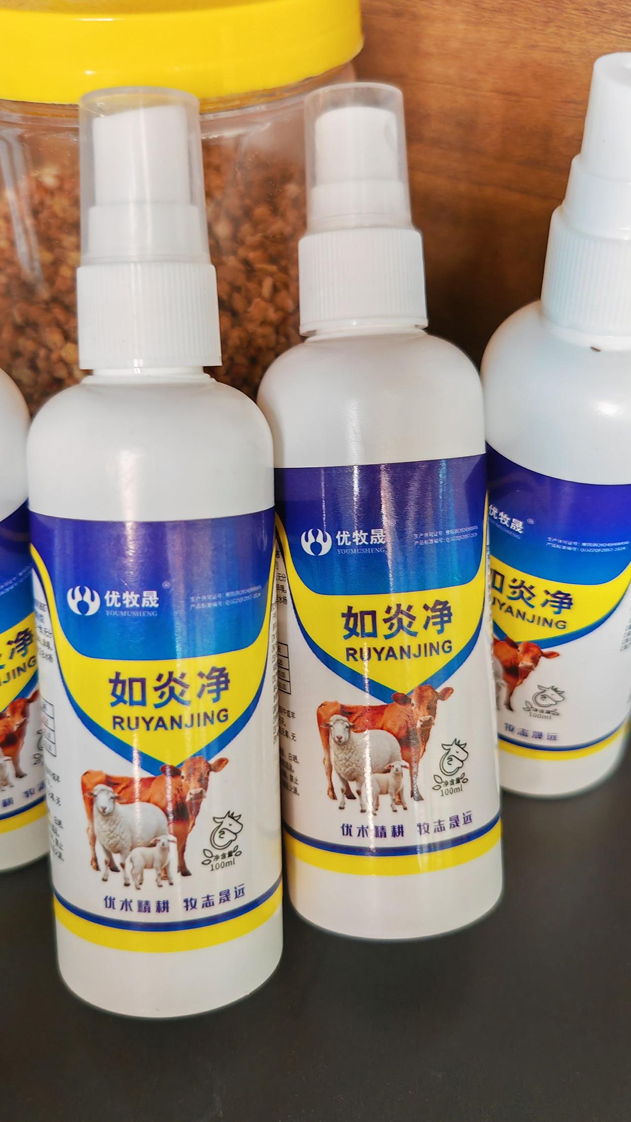 养羊牛羊养殖牛羊乳房炎 农村养羊