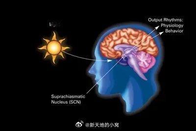 关注生活 关注健康为什么有人每天睡得少却很精神？科学家发现“短睡基因”大多数人都