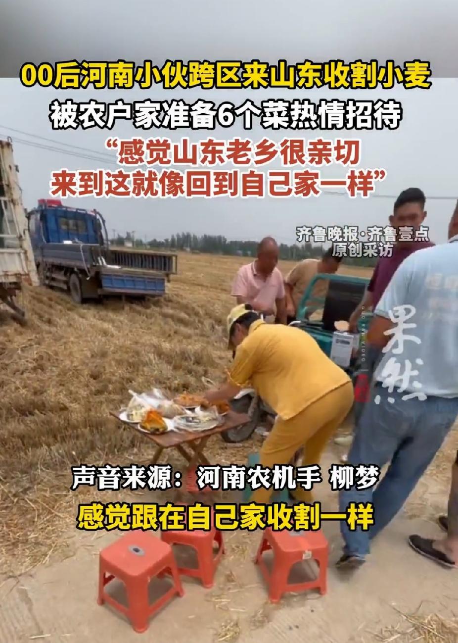 破防了！河南00后小伙和他朋友跑到山东割麦，中午饭点本想随便对付两口。没想到，农