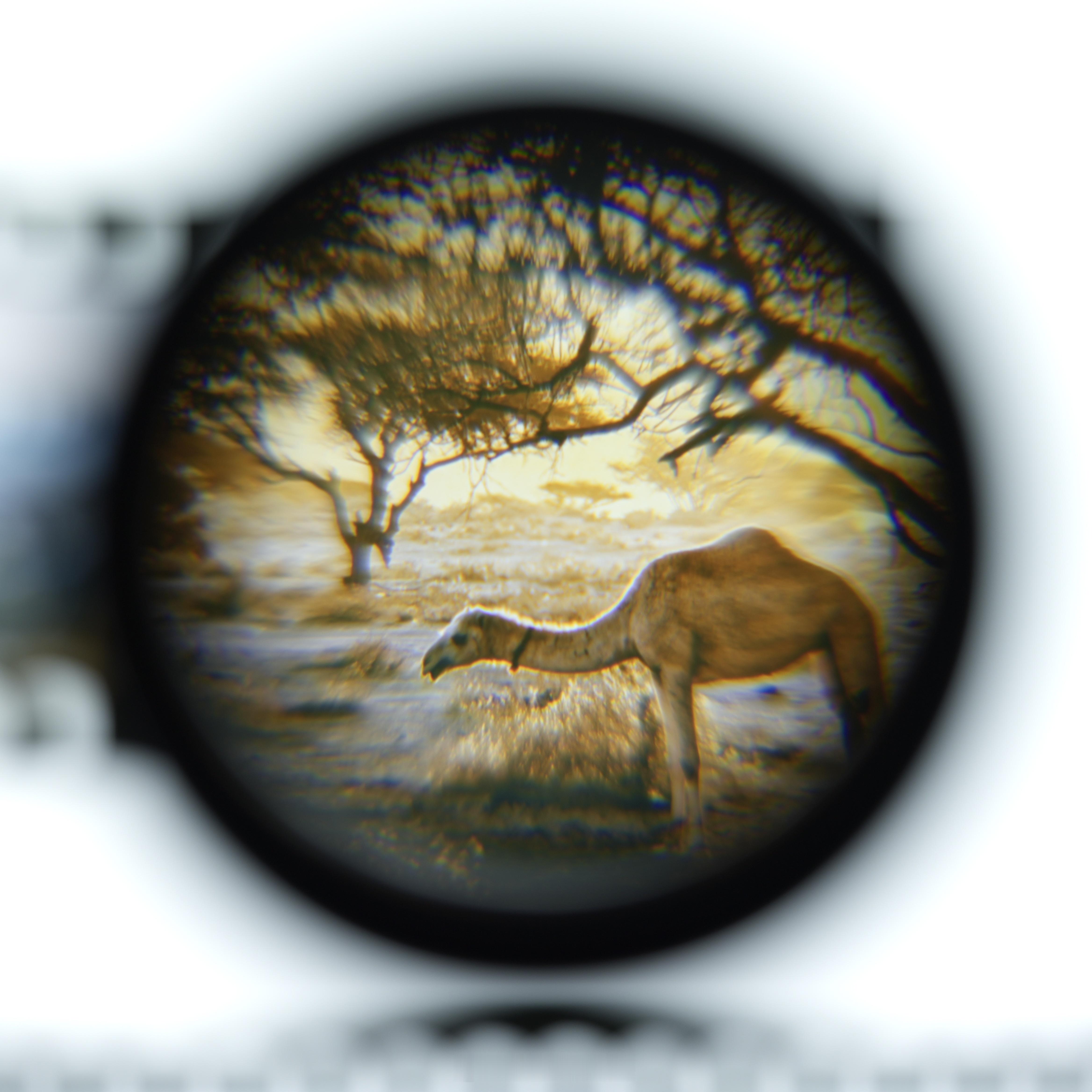 下周二，成都见OPPO x 哈苏，Find X9 Ultra 发布会第一次去成都