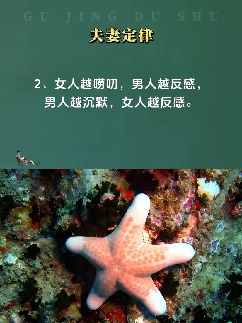 夫妻日常 夫妻相处之道 夫妻关系