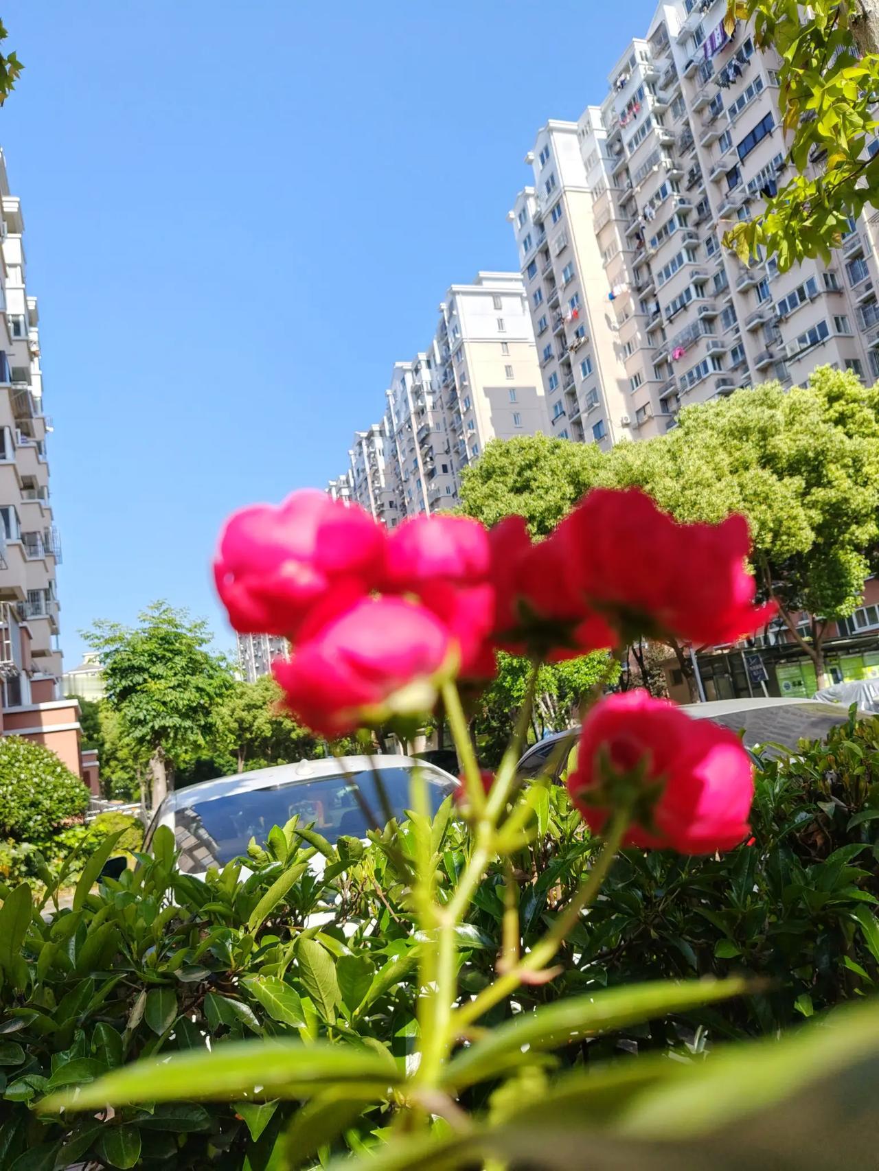 水碧山青世上春
楼高花美人间暖