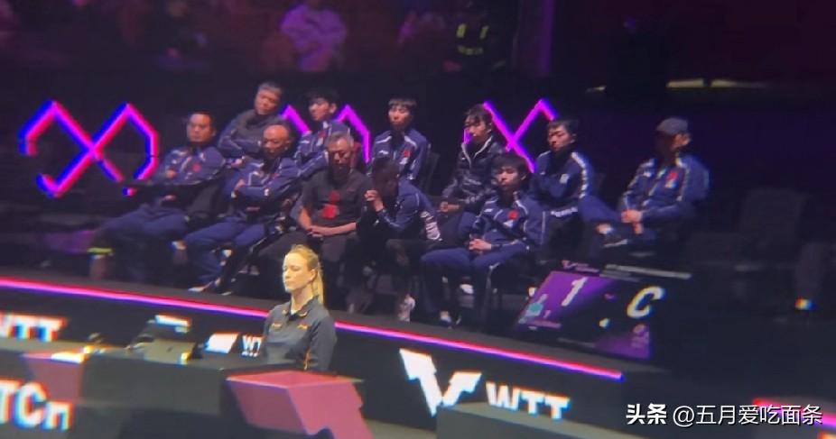 其实看到观赛席男队队员和教练坐满时，感觉到他们很苦，很认真了。

秦志戬和肖战上