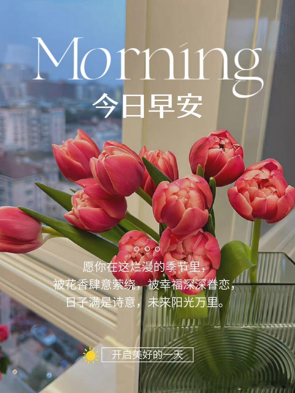 早安[超话] 阳台上那盆花开了，小小的花瓣带着露珠。养花的人知道，浇水施肥不能急