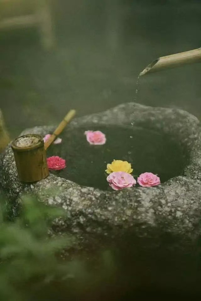 如果看不惯一个人，记住三句话你就赢了。”这三句话分别是：不争，以退为进；不理，沉