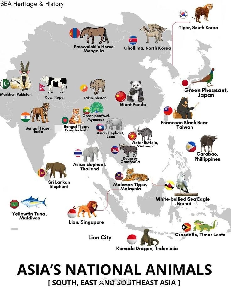 亚洲各国和地区的国兽老常政经