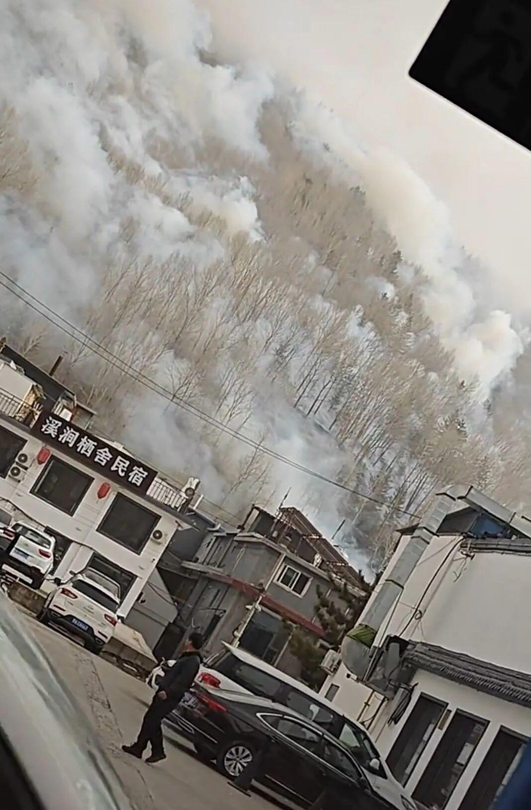 2月21日，大年初五。有网友发视频反映，山西忻州五台山上着火了，起火地点位于台怀