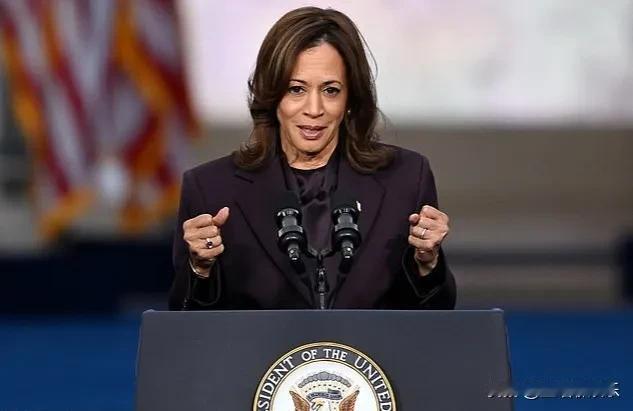 哈里斯败选后，集会供应商担忧收不到尾款。
哈里斯竞选团队大选前夕在7个摇摆州邀请