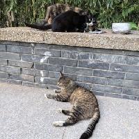我的今日状态：😁轻松愉快
我这里的天气：🌤️多云
