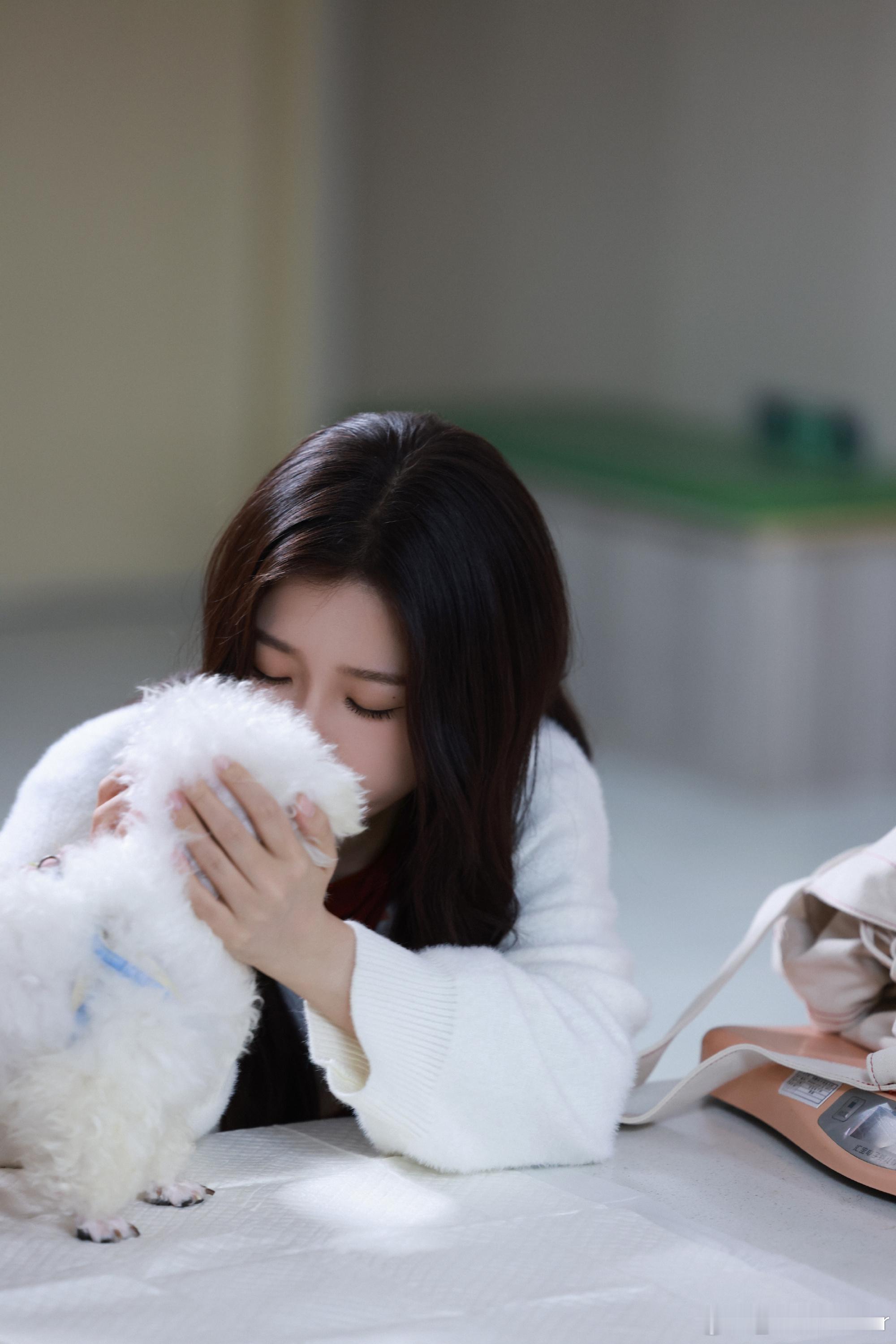 电视剧灿如繁星  舍不得 