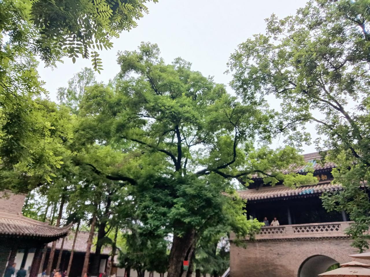 小雁塔荐福寺