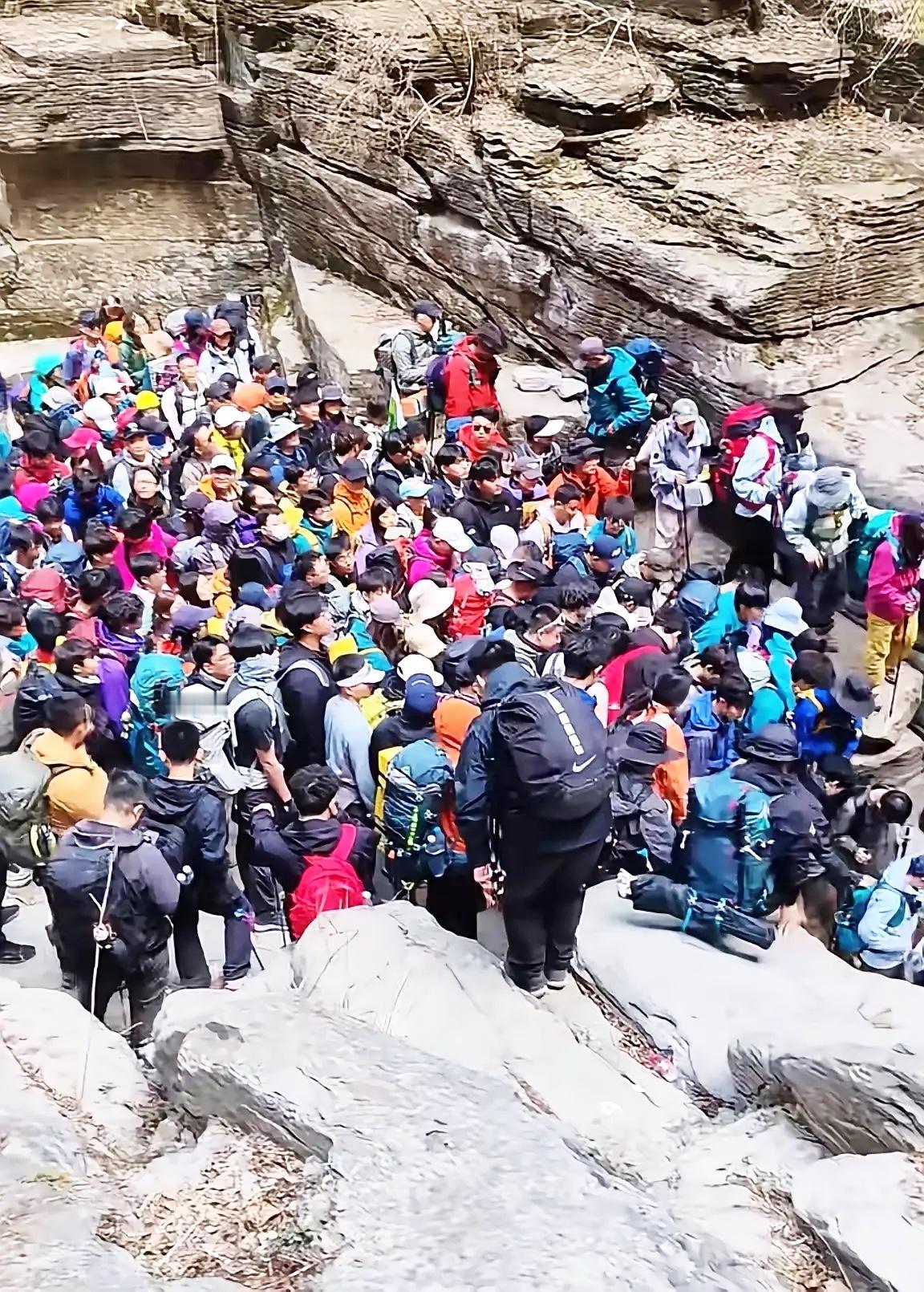 刚被朋友科普了“小短腿”，
直接一脸懵，
感觉自己跟当下的怪事彻底脱轨了！现在咋