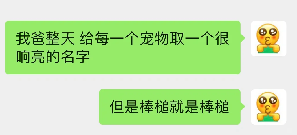 爸 鱼缸里不让养棒槌