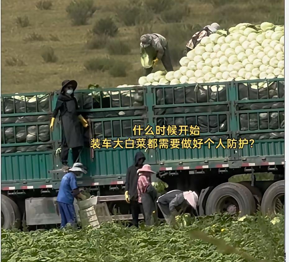 2008年的三鹿三聚氰氨奶粉事件发生后，催生了新版的食品安全法，使整个乳制品行业