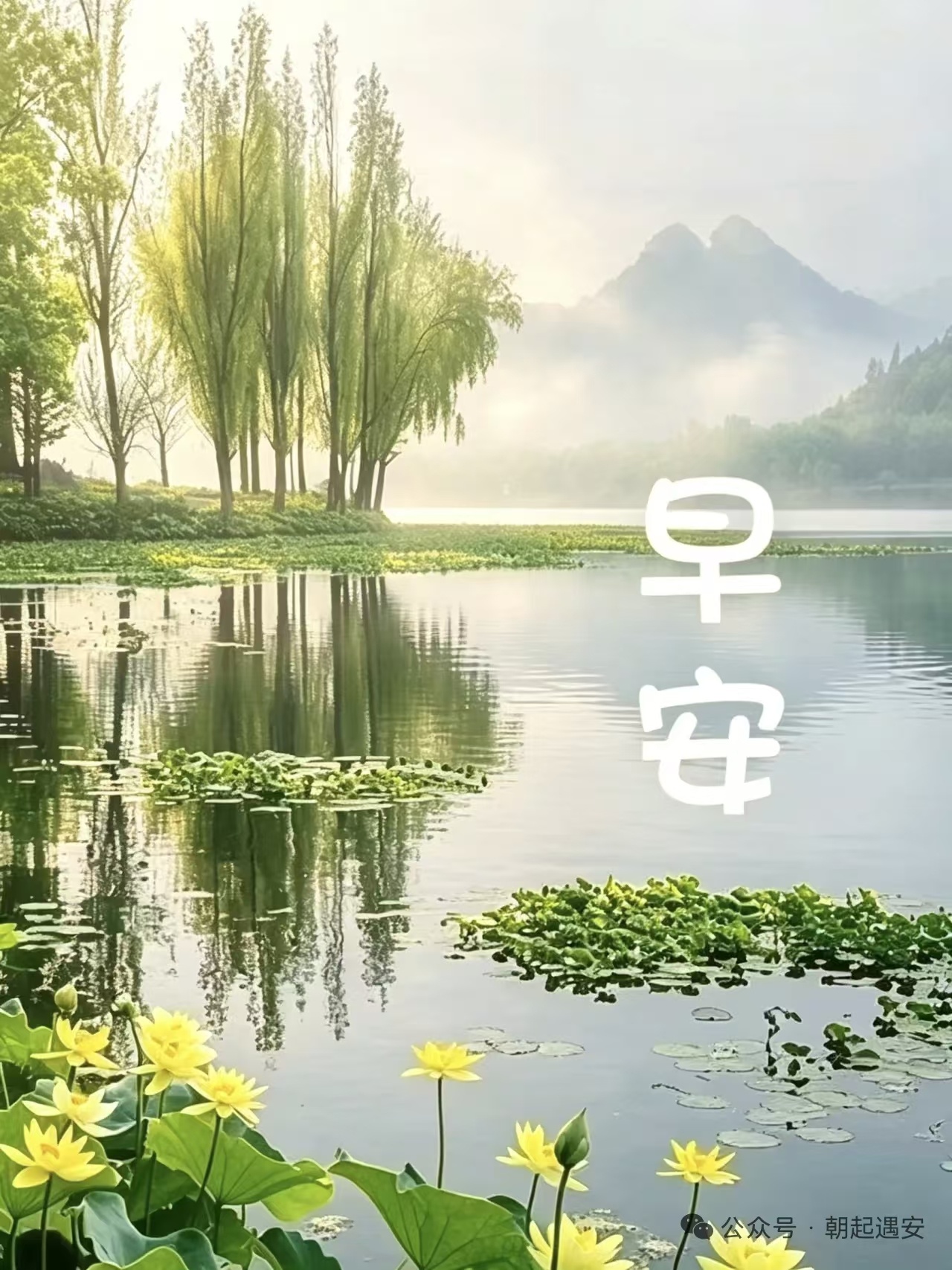 分享图片 南京