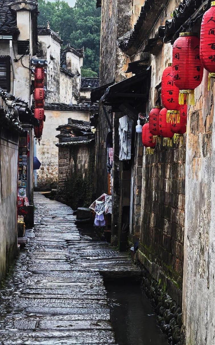 宝子们，旅行的意义或许就藏在那些随手拍下的瞬间里。这次我去了江南水乡，一路上用镜