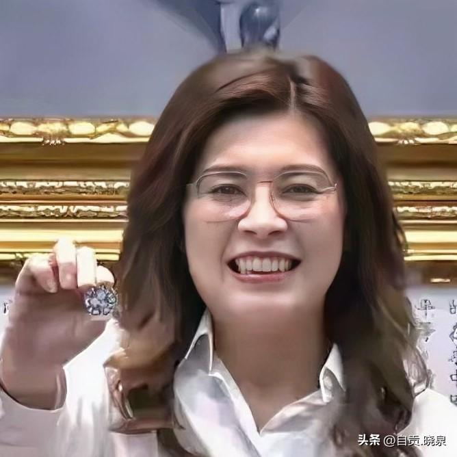 “多嘴”网友，“提醒”郑丽文，说……

如果你聪明就不要像卢秀燕、韩国瑜、蒋万安