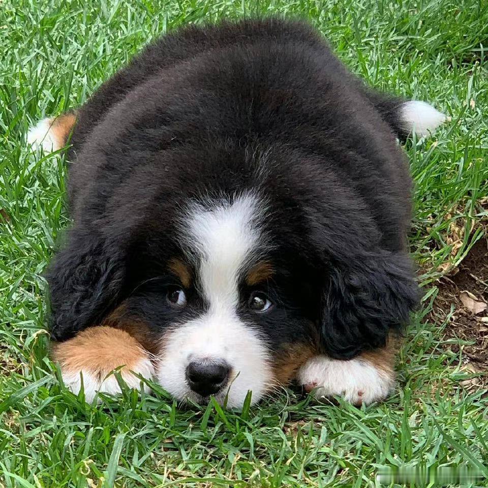 第五人格[超话] 大家觉得一溜多久算正常 