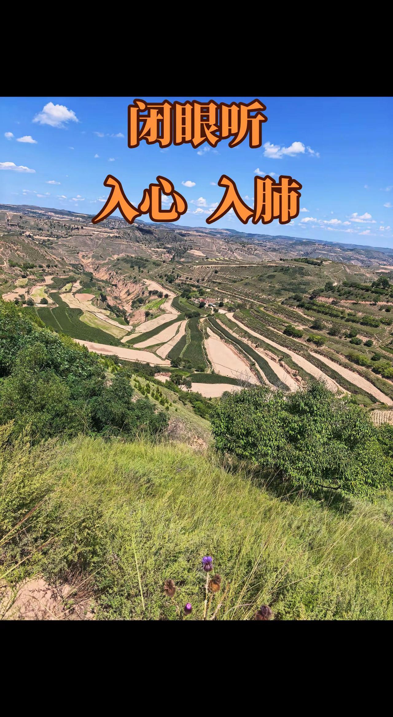 电视剧《主角》让我血脉觉醒，秦腔才是华夏的魂，这调调听的简直太上头了 秦腔诗与远