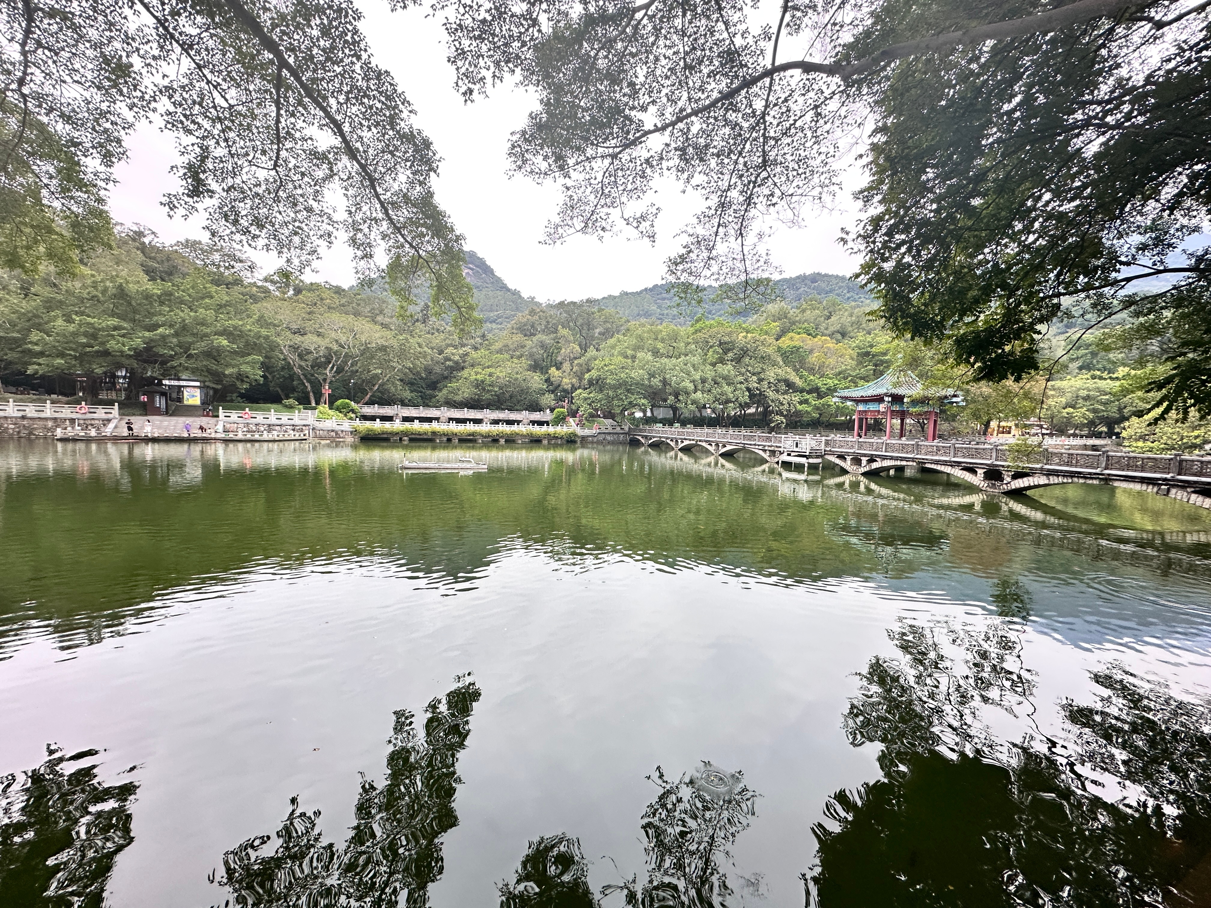 【罗浮山登顶小记⛰】妈妈总在陡坡处回头拉我们一把，像极了这些年她带我们走过的所有