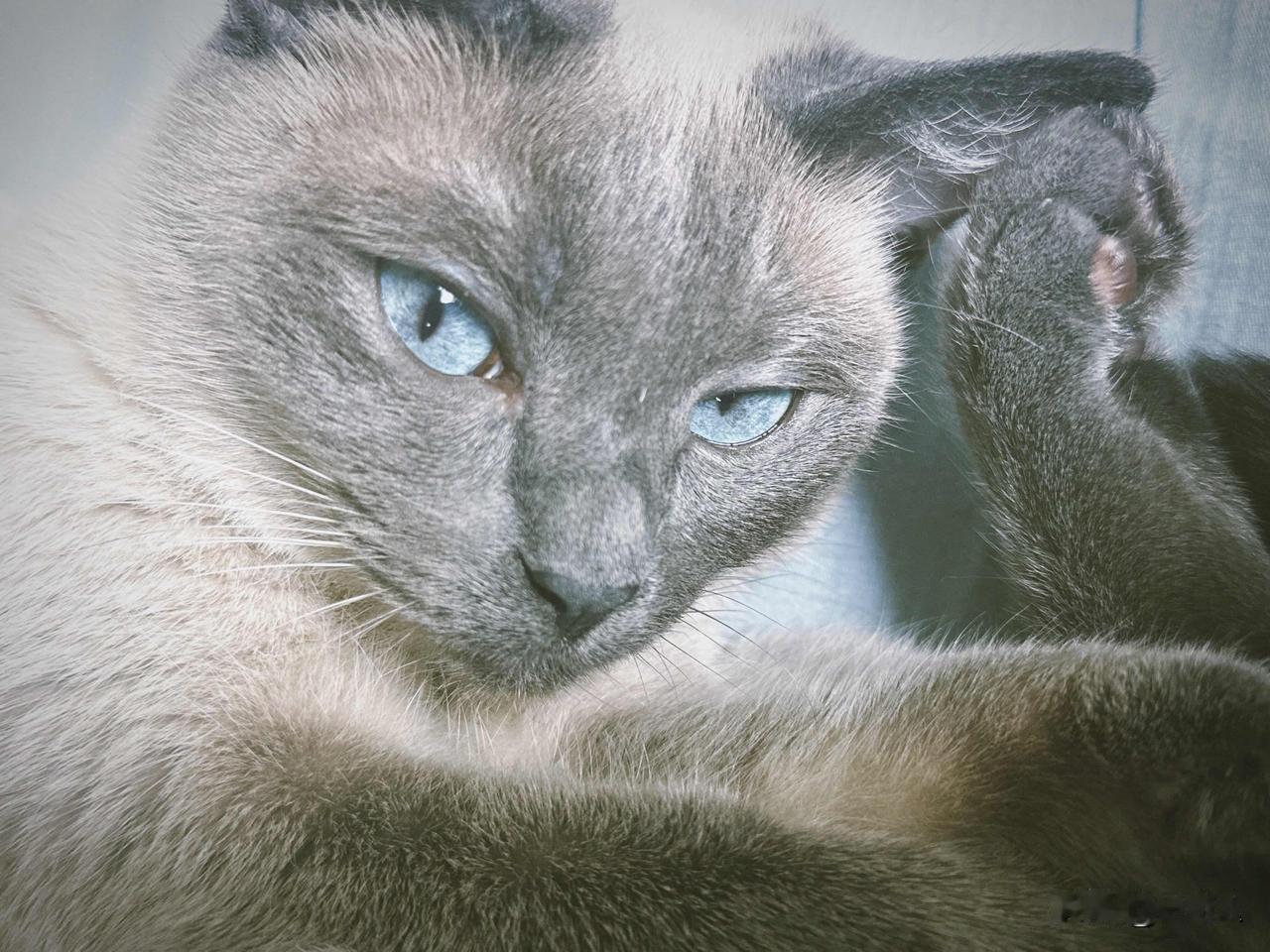 晒图笔记大赛手机随手拍原创图片