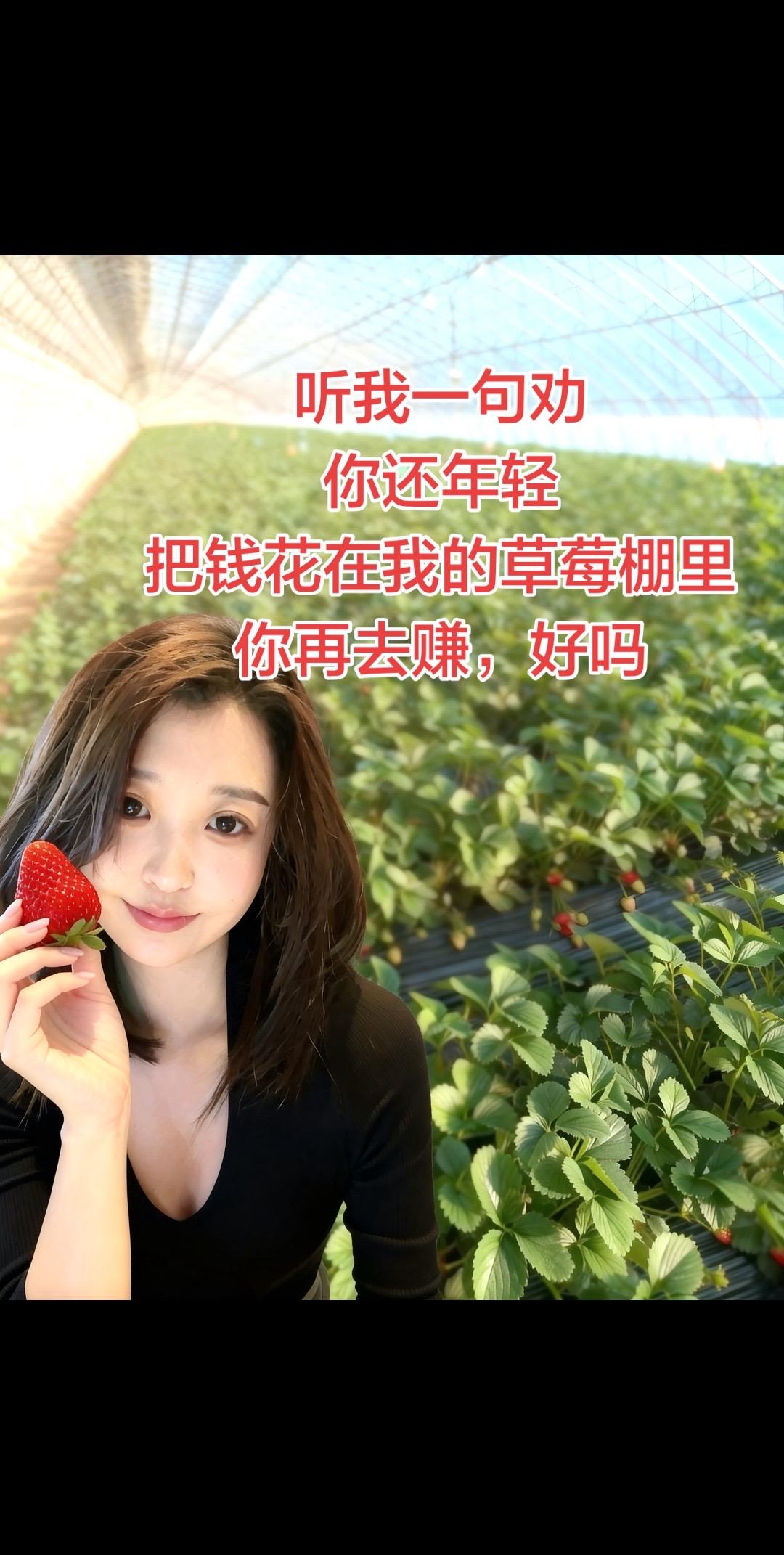 买我的草莓吃好吗。